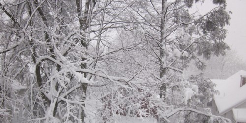 Belmont in Winter — photo by Peggy Kornegger ©2011