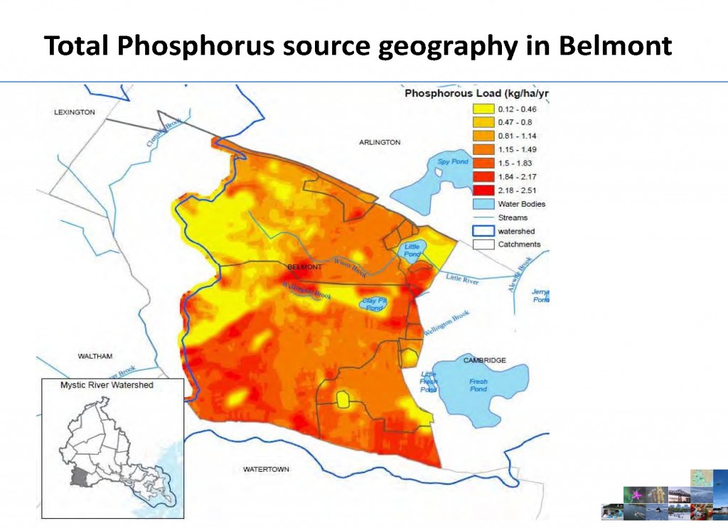 Mystic River phosphorous loading