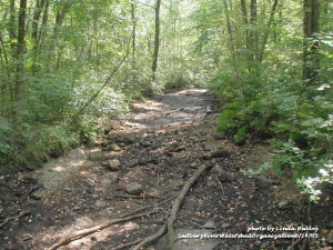 Dry brook, Hopkinton. Photo by Linda Hubley.