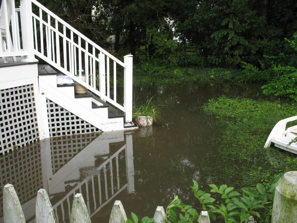 Winn Brook backyard flooding / MyRWA