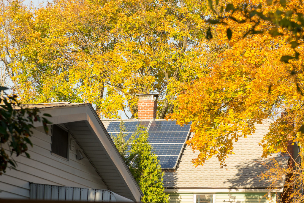 Solar panels at Slade Street, Belmont / Emily Woods