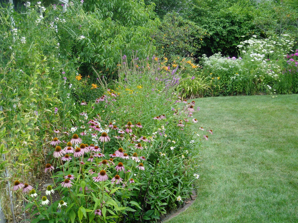 Fairley garden in late summer/ Irene Fairley