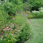 Drought-Resistant Gardens Are Within Reach