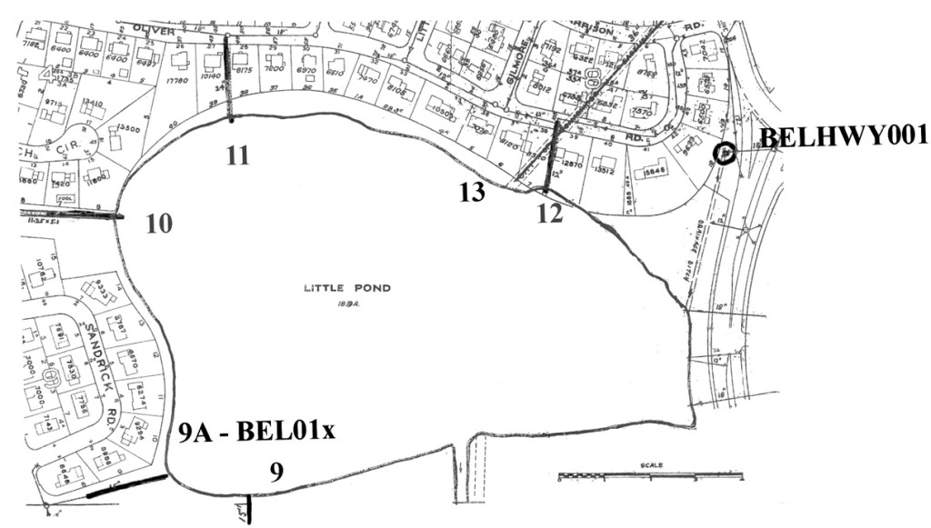 Little Pond and the outfalls --the discharge point of a waste stream, labeled 9-13-where data was collected.