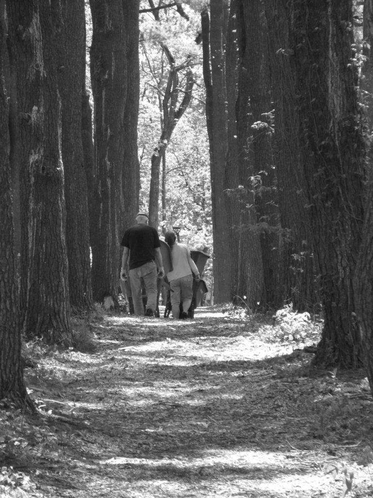 LoneTreePhoto5 BW