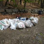 Cleaning Up Belmont's Polluted Waterways