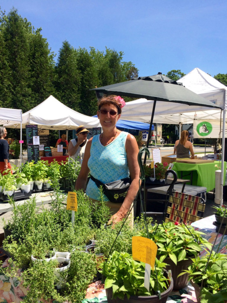 13th Season of the Belmont Farmers’ Market in Full Swing Belmont