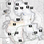 Developing a Conservation Master Plan for Rock Meadow