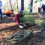 Lone Tree Hill Volunteer Day—April 27