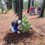 Another Successful Lone Tree Hill Volunteer Day