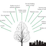 Tree Loss Harms Urban Environments