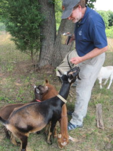 Roger Wrubel with goats