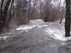 Beaver Brook flood