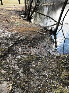 Erosion at Clay Pit Pond