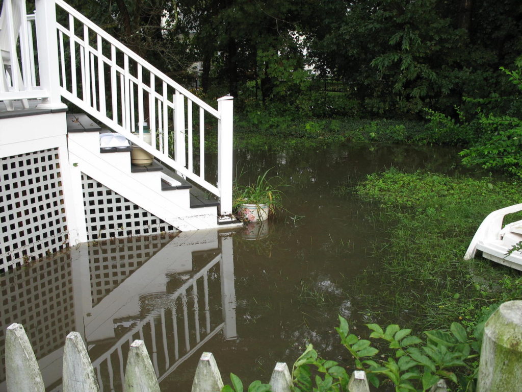 Winn Brook flooding