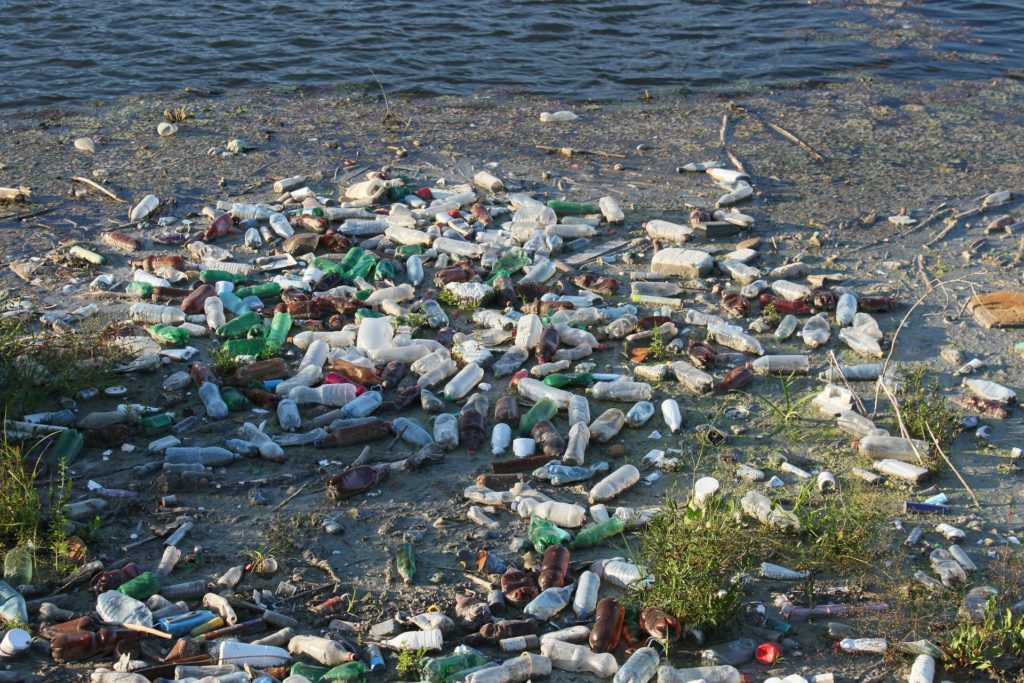 Discarded bottles on beach