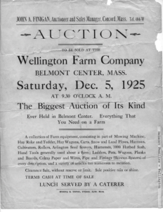 Wellington auction notice