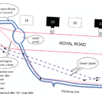 What is the Future of the Royal Road Woods?