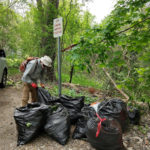 Volunteers Battle Invasives
