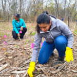Volunteers Plant, Clean Up at Lone Tree Hill