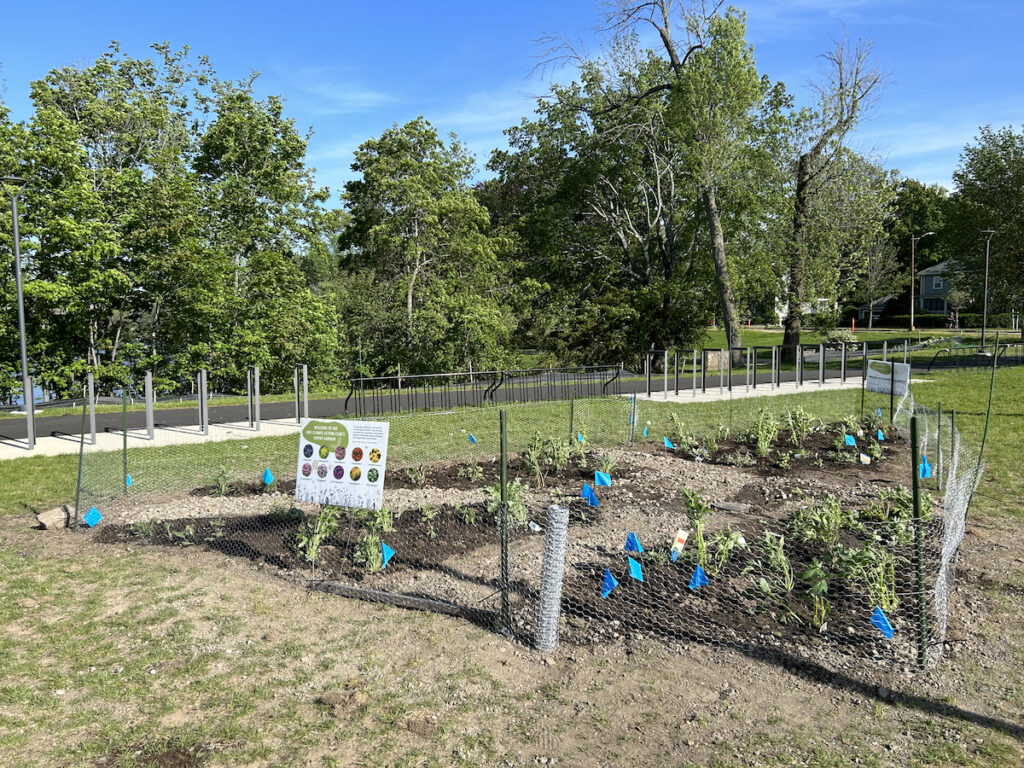 The native plant garden at Belmont Middle and High School