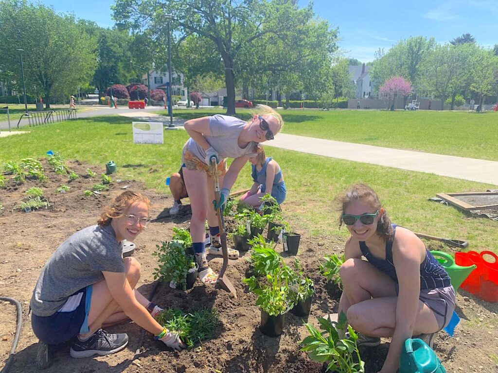 BHS students installing their native plant garden