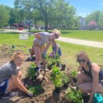 BHS students installing their native plant garden