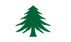 “Pinetree” design of the Naval Ensign flag of Massachusetts.