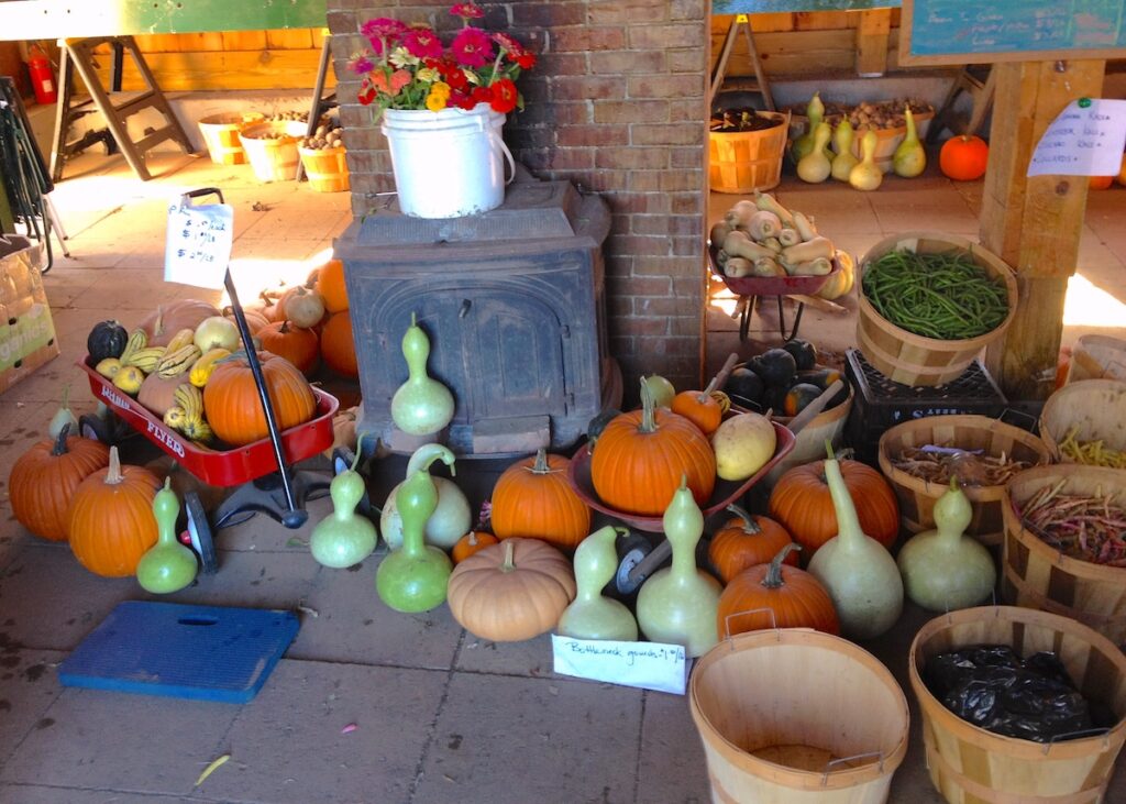 Harvest bounty at the Ogilby farm.