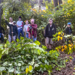 Residents Restore Royal Road Woods Ecosystem