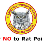 Letter to the Editor: Rat Poisons and Wildlife