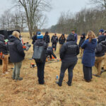 Restoration Resumes on Lone Tree Hill