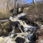 Beavers vs Us: Who Manages Stormwater Best?