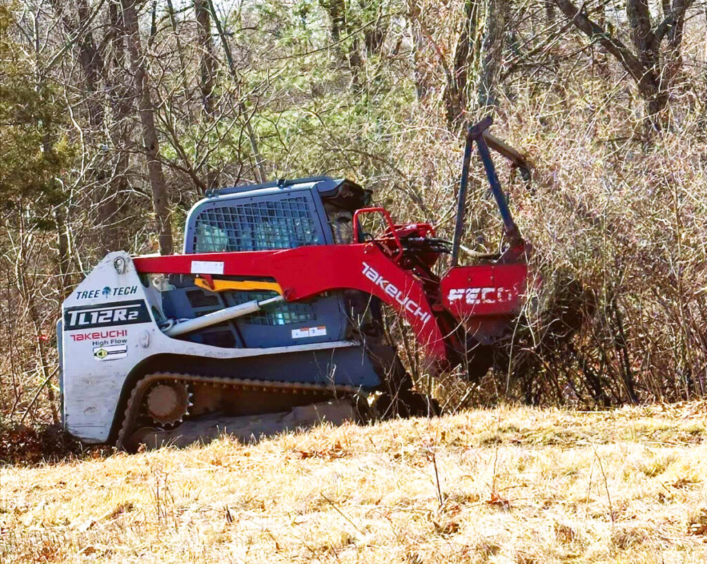 Forestry mower at Lone Tree Hill