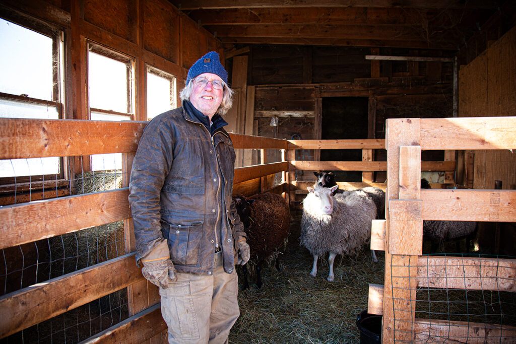Mike Chase and sheep at Belmont Acres farm