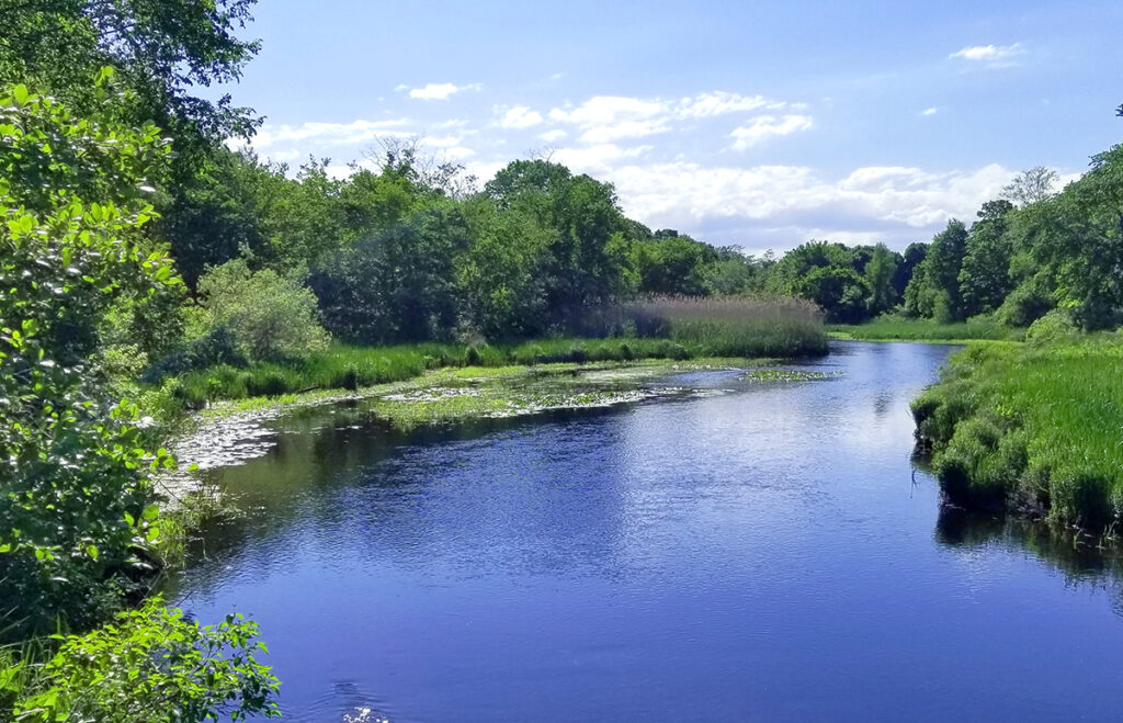 One of Massachusetts’s many wetlands: South River in Marshfield, MA.