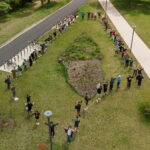 Belmont’s First Miyawaki Forest Comes to BHS