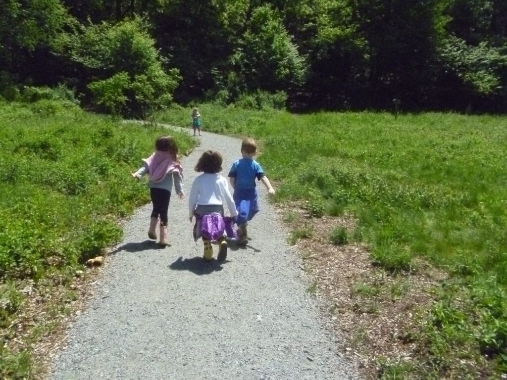 Universally accessible trail at Abitat