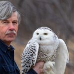 Belmont Boasts Bountiful Owls