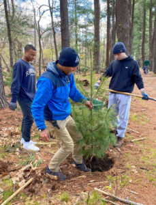 Three young men planting a tree at Lone Tree Hill