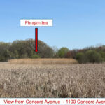 Community Preservation Committee Endorses Projects