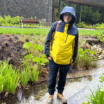 The Library Garden's New Look  Goes With The Flow of Wellington Brook