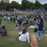Balancing Play and Preservation: Inside Belmont’s Open Space Plan Update