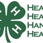 4-H: A Place to Learn, Lead, and Belong